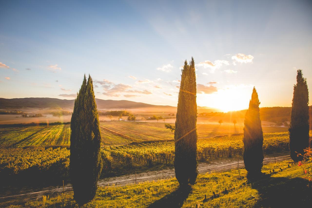 Casali Di Bibbiano Villa Buonconvento Eksteriør billede